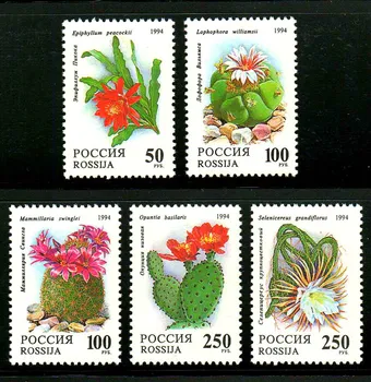 5 Adet / takım Yeni Rusya Post Damga 1994 Kaktüs Çiçekler Pullar MNH