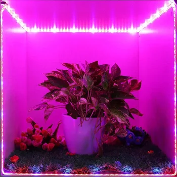 DC12V LED Büyümek ışık şeridi SMD 5050 60 leds/m topraksız sera Bitki Yetiştirme Çiçek ve Sebze Yetiştiriciliği 1 Rulo 5 m