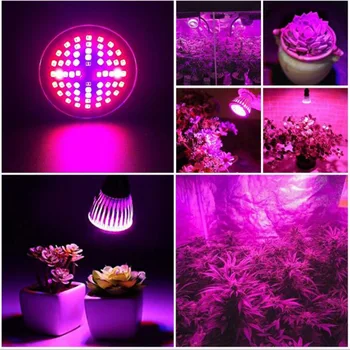 Güçlü 60 LED Bitki büyütme lambaları lamba ampulü Tam spektrum Büyüyen UV IR kapalı çiçek sebze sebze büyümek çadır kutusu Hidro sistemi