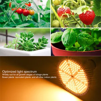 100W 120W tam spektrumlu LED Büyümek ışık Sıcak Beyaz E27 Lamba Ampuller Bitkiler Akvaryum Çiçek Tohumları Bahçe Sebze Sera