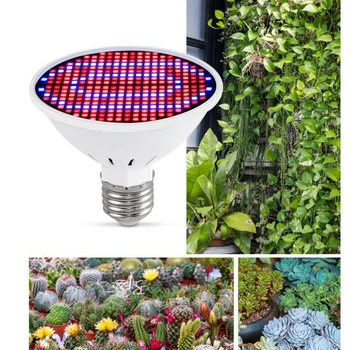Phyto lamba 200 300 LED bitki büyümek ışık tam spektrum kapalı çiçek sebze büyüyen hidroponik Fitolamp çadır kutusu aydınlatma