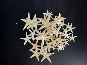 Sıcak yeni 1-5cm Doğal Denizyıldızı Deniz Kabuğu Plaj El Sanatları Doğal Deniz Yıldızları DIY Plaj Düğün Dekorasyon El Sanatları Ev Dekorasyonu Epoksi