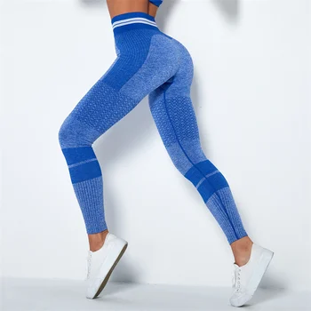Egzersiz Tayt Kadın Pantolon Yoga Leggins Tayt Dikişsiz Naylon Pantolon Kadınlar İçin Yüksek Bel Yüksek Elastik kadın Spor Pantolon